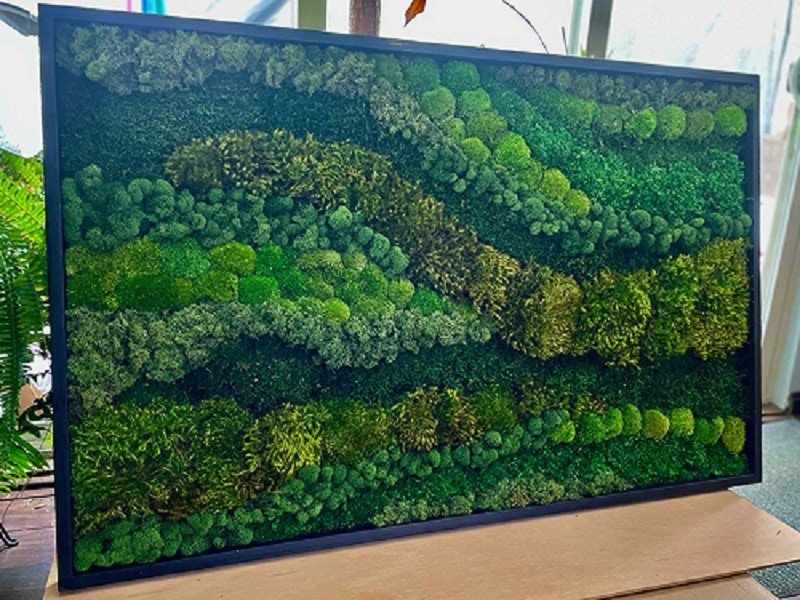What Is Artificial Moss What Is Artificial Moss