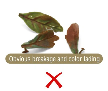 Anti-UV-Ability-2 Anti-UV-Ability-2