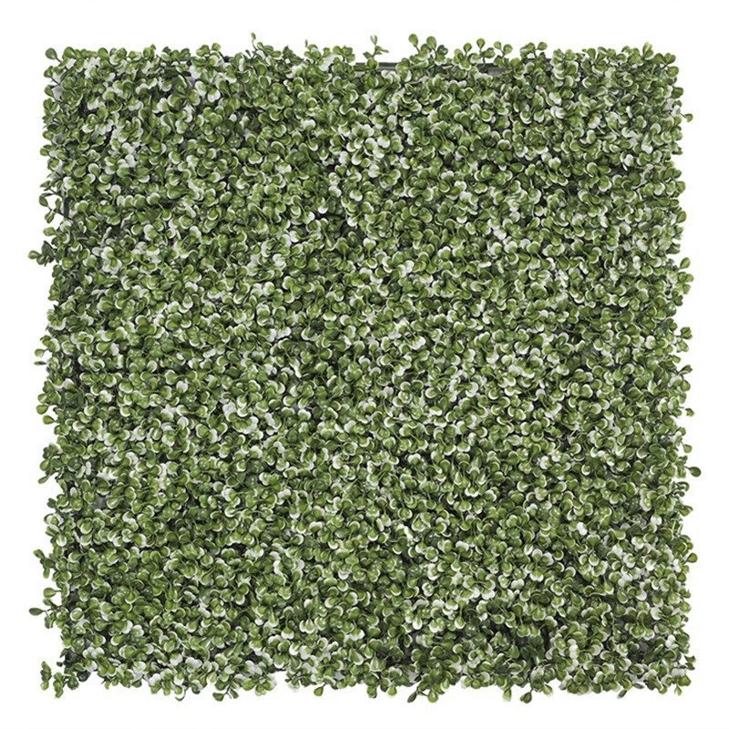 boxwood panel boxwood panel