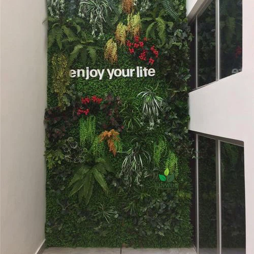 Italy Bookshop Greenery Wall Project Italy Bookshop Greenery Wall Project